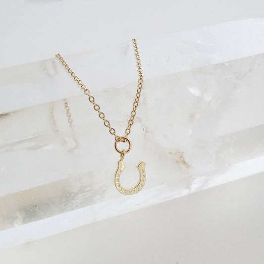 Dainty Lucky Charm Horseshoe Necklace - Honeypot