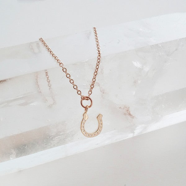 Dainty Lucky Charm Horseshoe Necklace - Honeypot